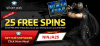  Обзор бонуса Free Slot Spins